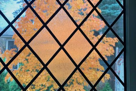 425 Lakeview Boulevard Albert Lea MN 56007