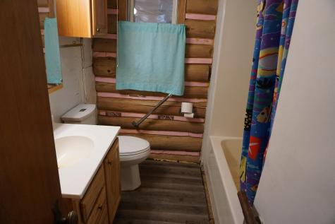 51183 Timberwolf Trail Shevlin MN 56676