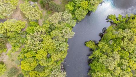 16905 211th Avenue NW Big Lake MN 55309