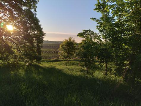 24543 County Highway 124 Fergus Falls MN 56537