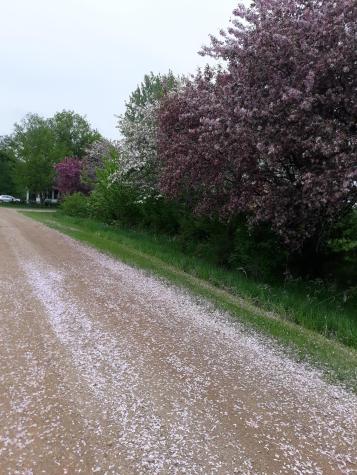 24543 County Highway 124 Fergus Falls MN 56537