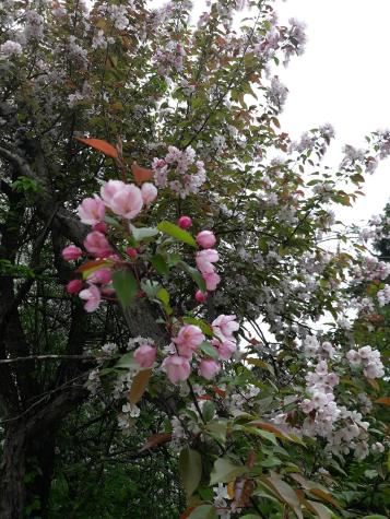 24543 County Highway 124 Fergus Falls MN 56537