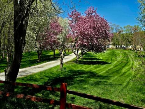324 W 7th Street Litchfield MN 55355
