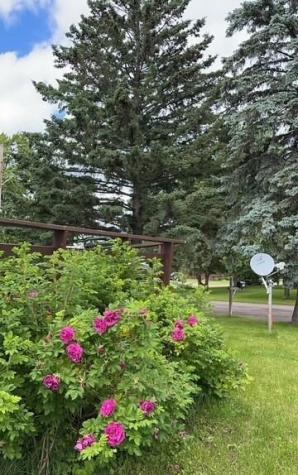 5030 Idlewild Street Duluth MN 55804