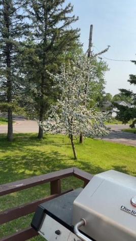 5030 Idlewild Street Duluth MN 55804