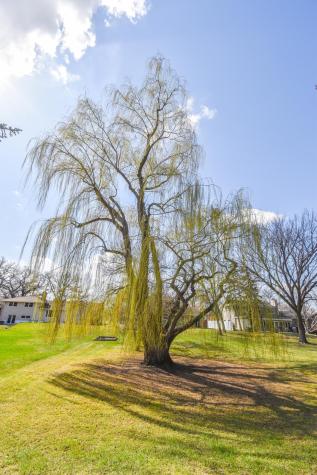 111 19th Avenue N Fargo ND 58102