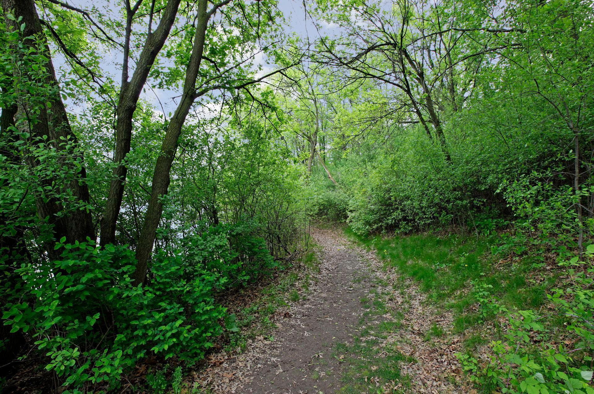 6200 132nd Way Apple Valley MN 55124