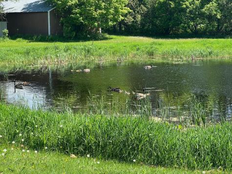 39596 10th Avenue Isle MN 56342
