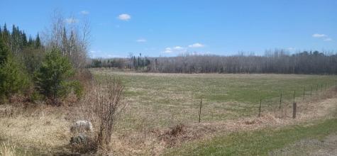 10862 Willow River Road Orr MN 55771