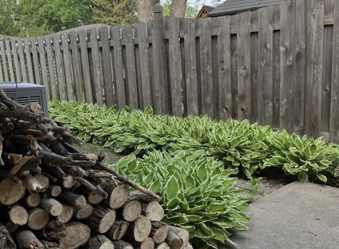 318 Dale Avenue Moorhead MN 56560