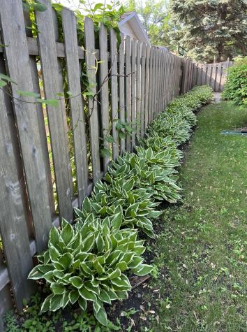 318 Dale Avenue Moorhead MN 56560