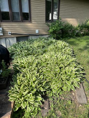 318 Dale Avenue Moorhead MN 56560