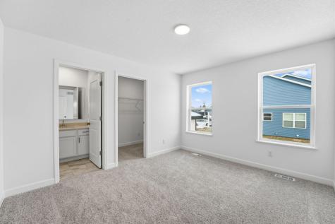 16769 Coquina Street NW Ramsey MN 55303
