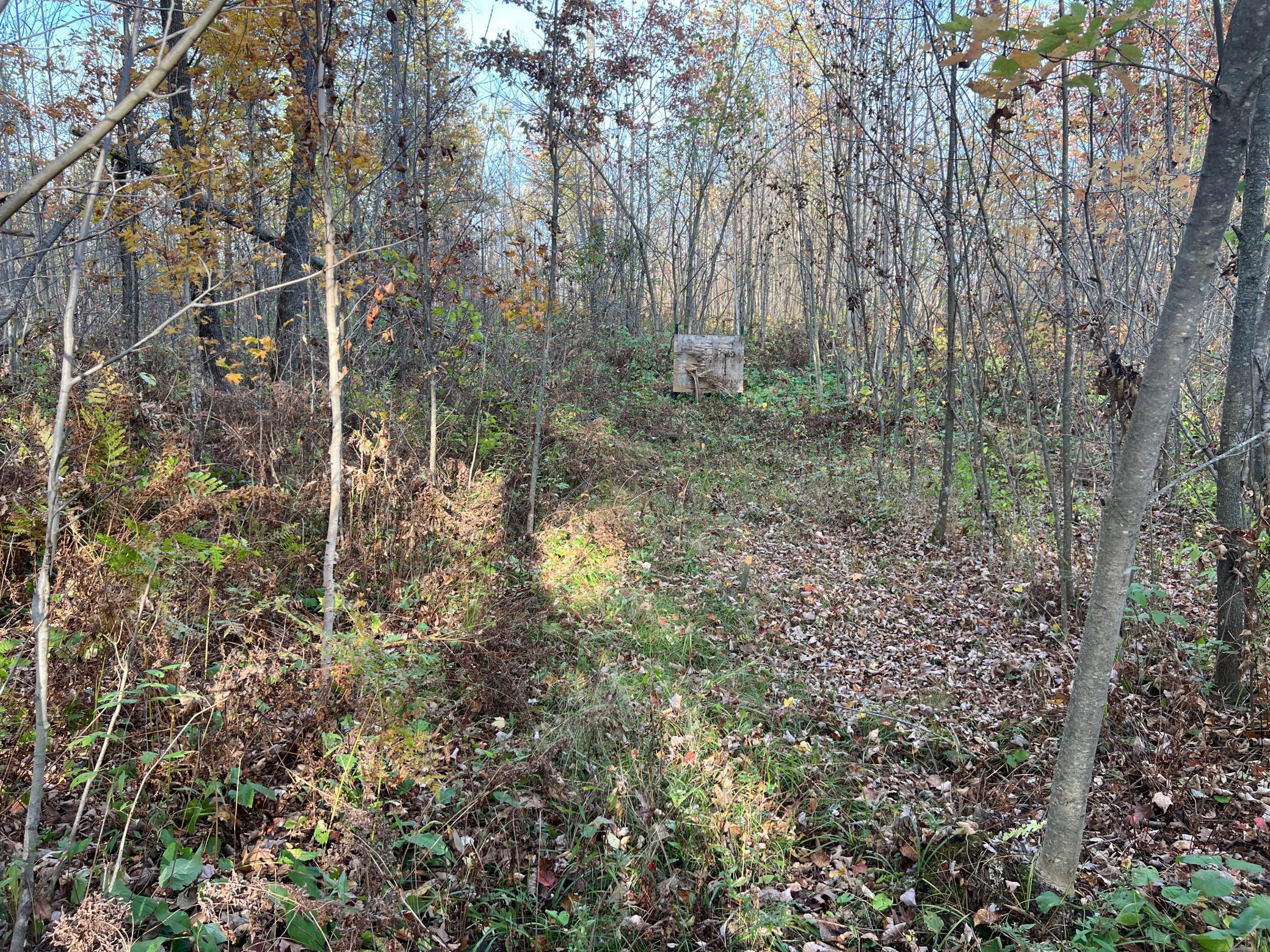 73855 Markville Road Arna Twp MN 55072