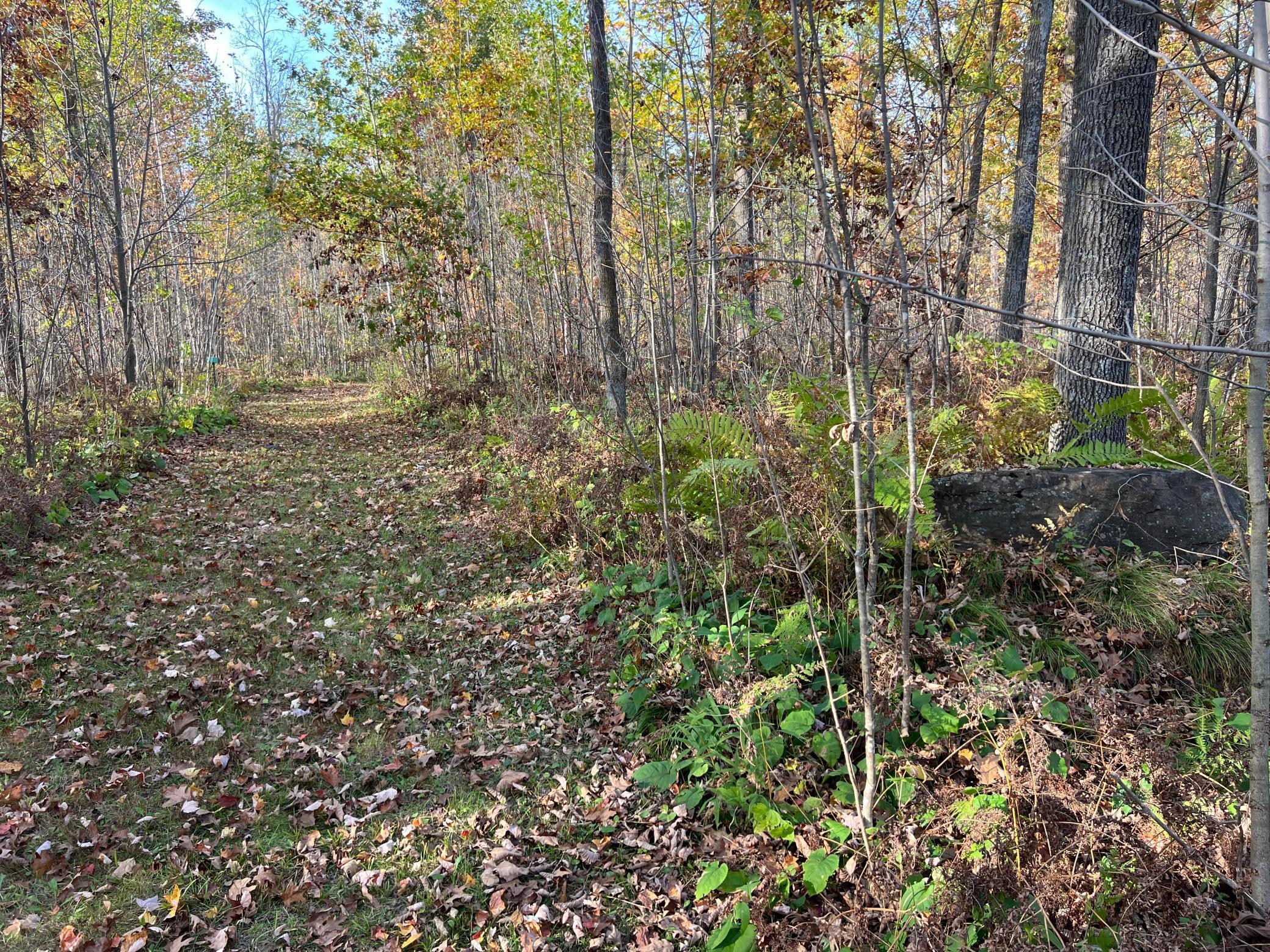 73855 Markville Road Arna Twp MN 55072