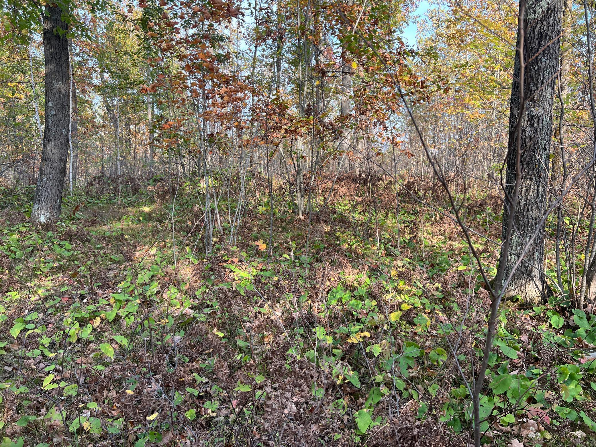 73855 Markville Road Arna Twp MN 55072