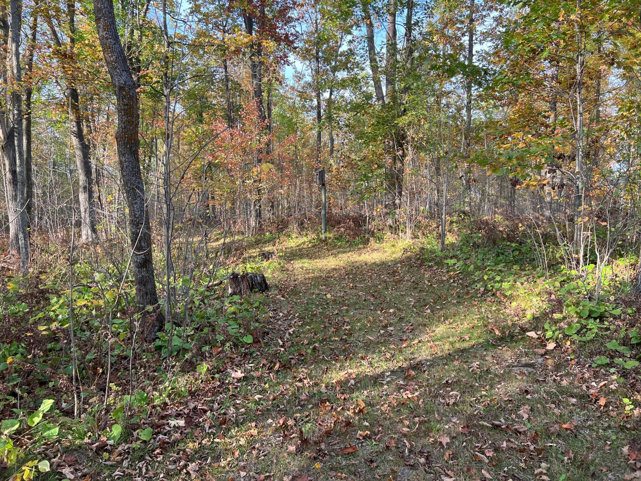 73855 Markville Road Arna Twp MN 55072