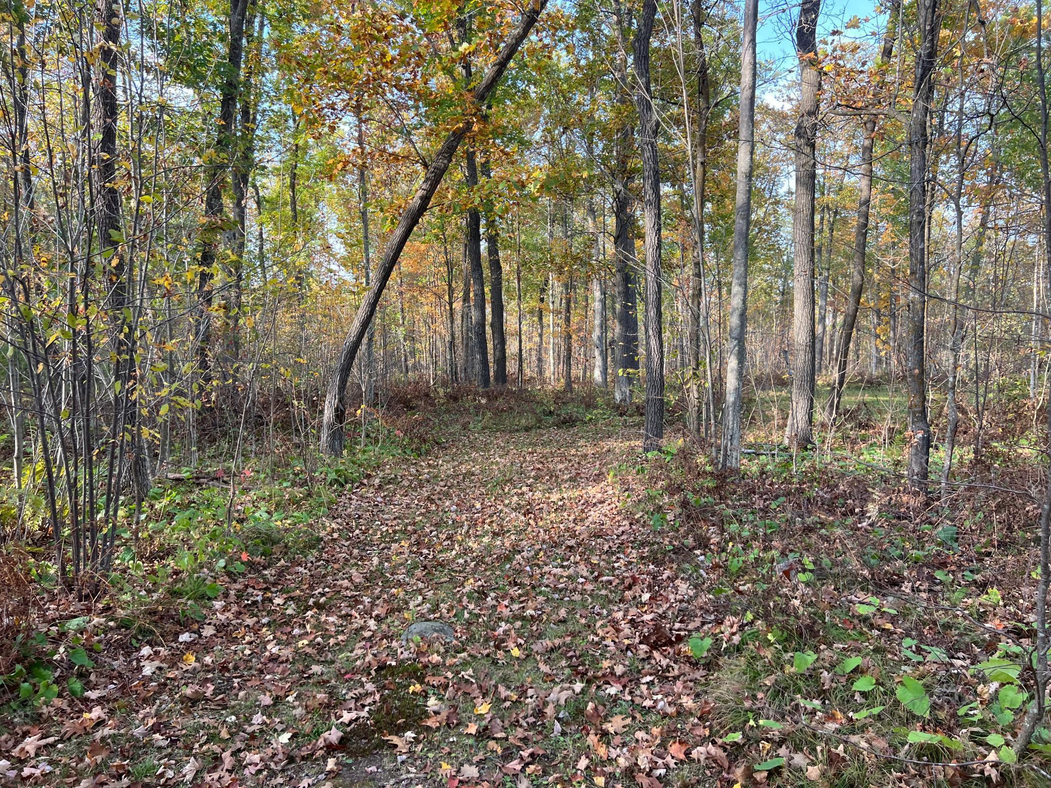 73855 Markville Road Arna Twp MN 55072