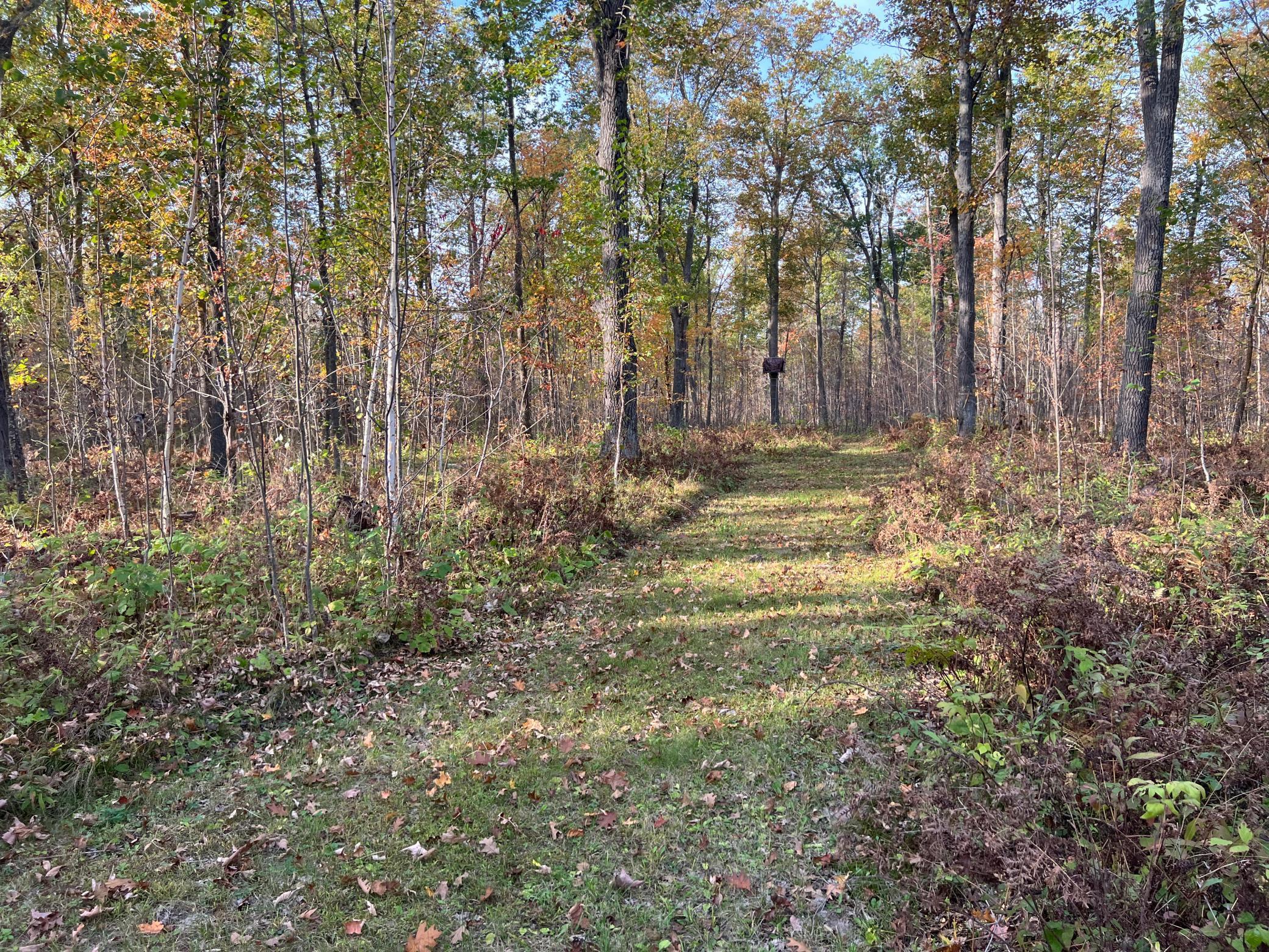 73855 Markville Road Arna Twp MN 55072