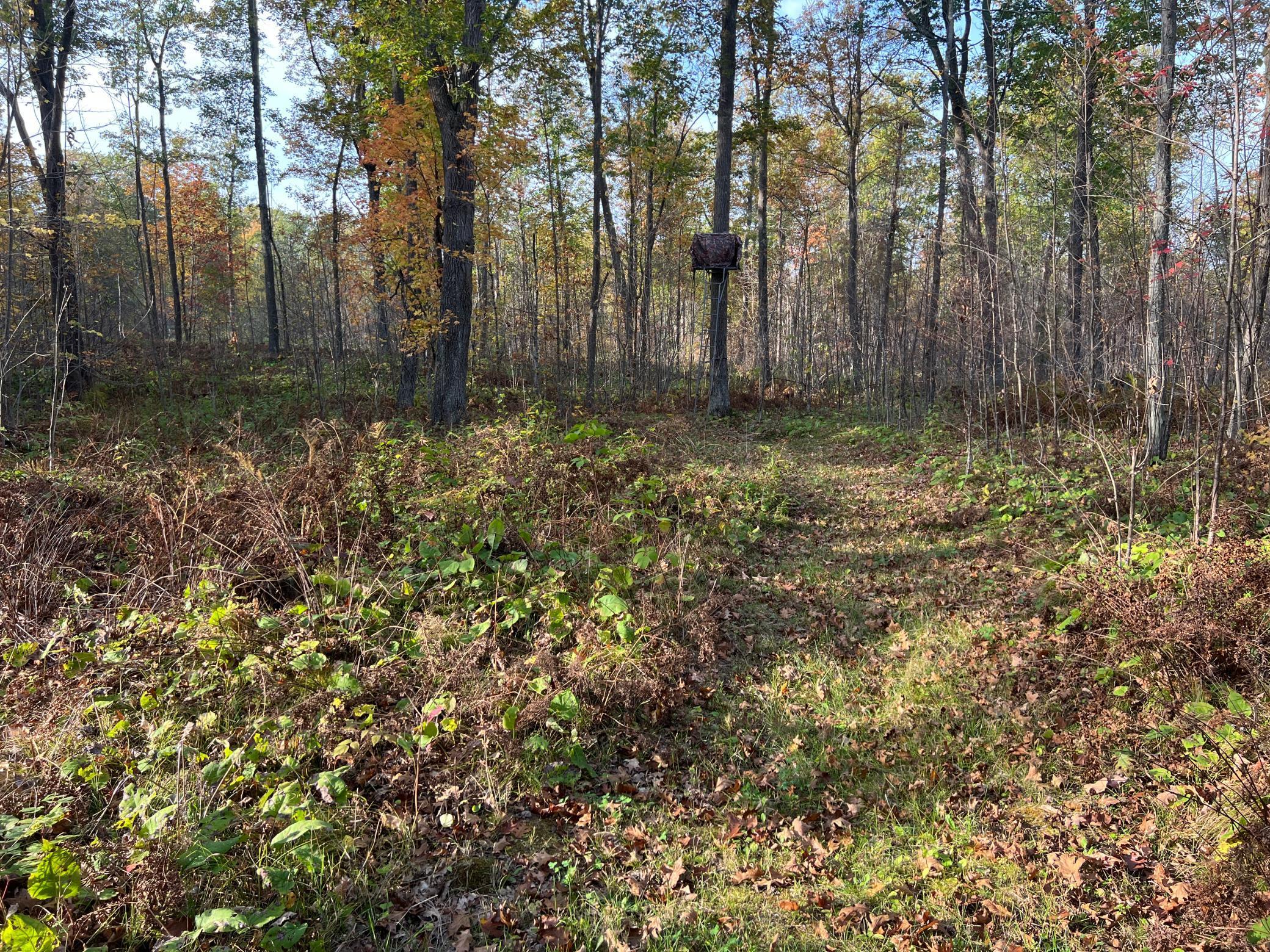 73855 Markville Road Arna Twp MN 55072