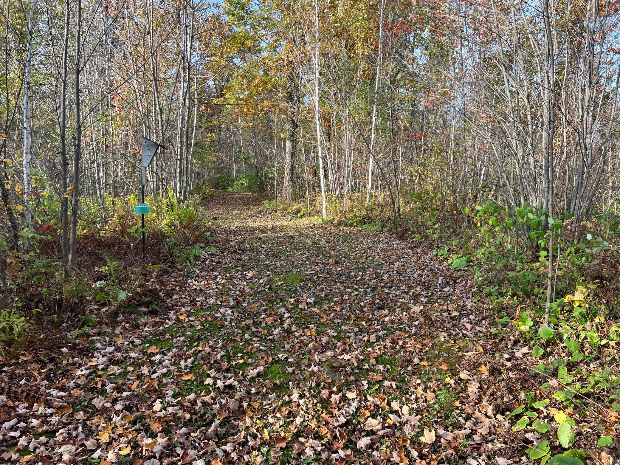 73855 Markville Road Arna Twp MN 55072