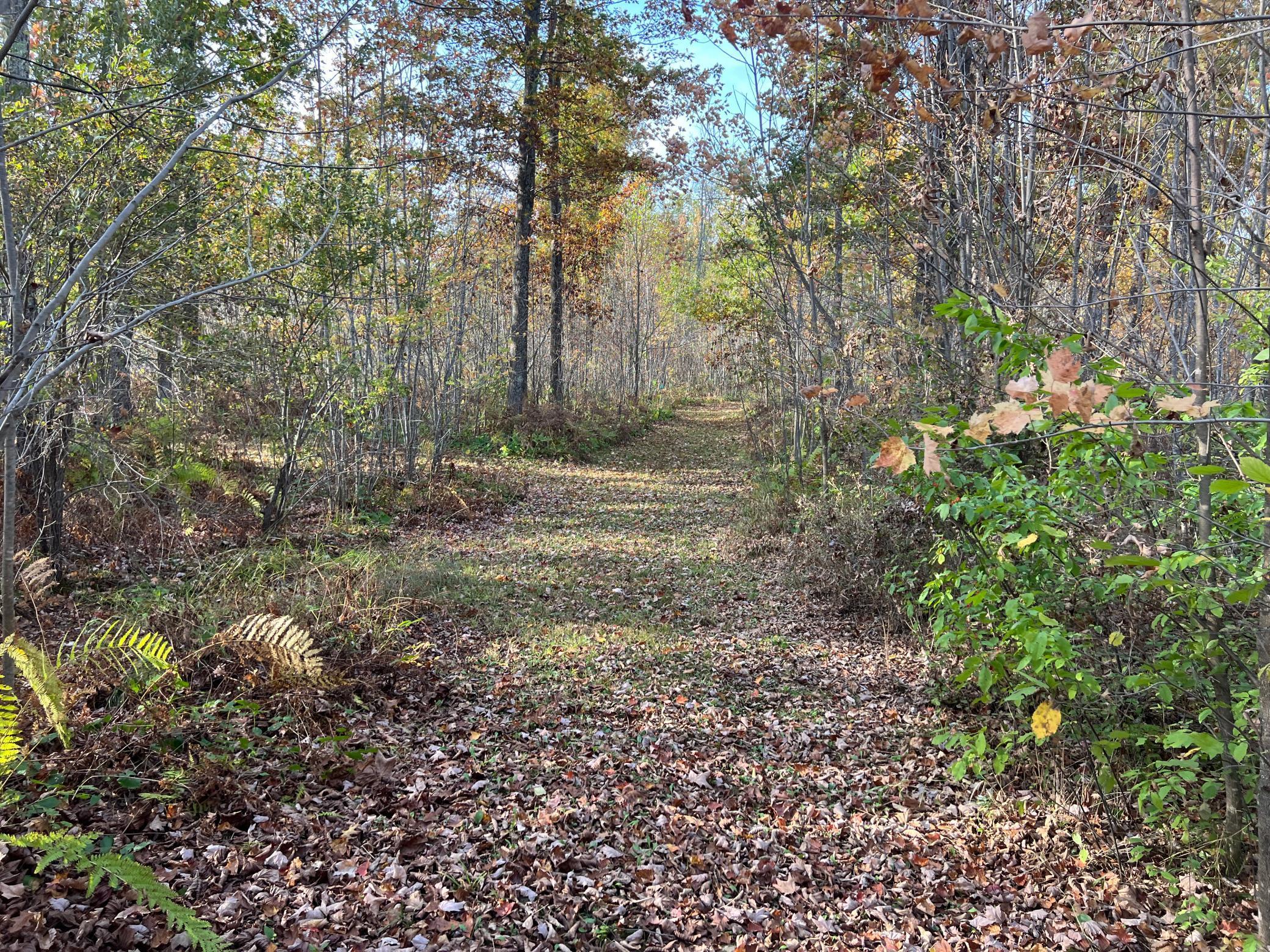 73855 Markville Road Arna Twp MN 55072