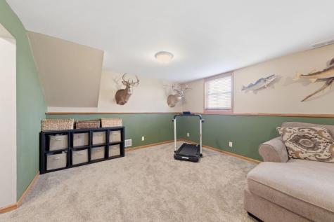 8226 Hillside Trail S Cottage Grove MN 55016