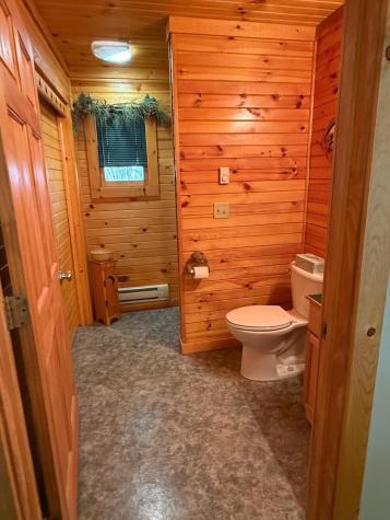 40411 Bucksnort Drive Emily MN 56447