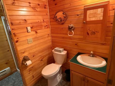 40411 Bucksnort Drive Emily MN 56447