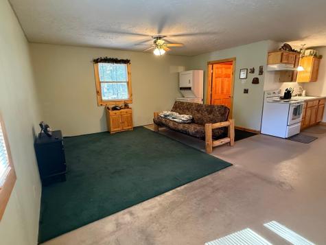 40411 Bucksnort Drive Emily MN 56447