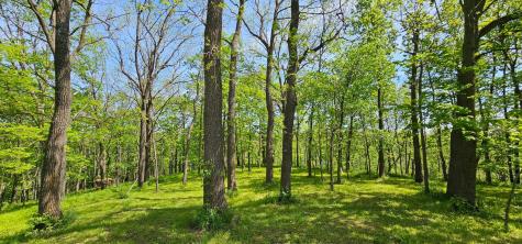 35423 Skyview Drive Winona MN 55987