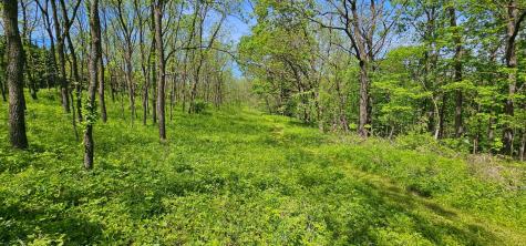 35423 Skyview Drive Winona MN 55987