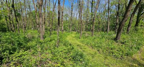 35423 Skyview Drive Winona MN 55987