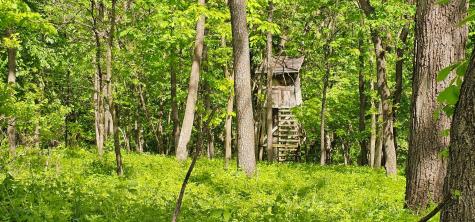 35423 Skyview Drive Winona MN 55987