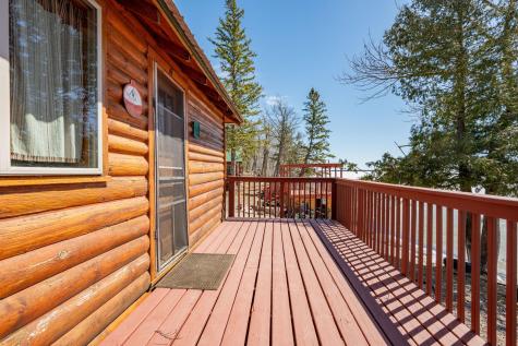 49231 County Road 173 Deer River MN 56636