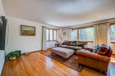 8246 Red Pine Lane NE Bemidji MN 56601