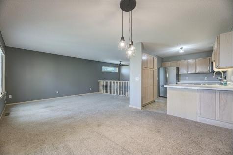 1655 Pheasantwood Trail Northfield MN 55057