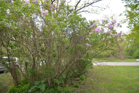 340 River Drive W Milaca MN 56353