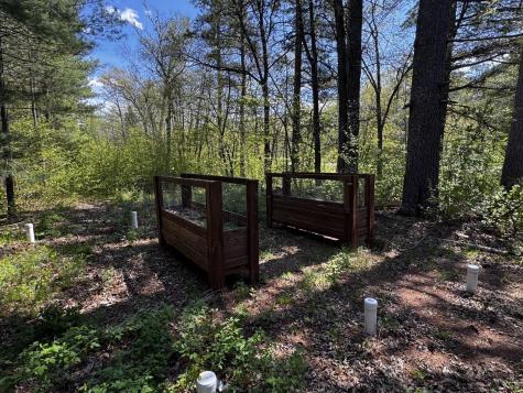 6274 Azalea Road Motley MN 56466