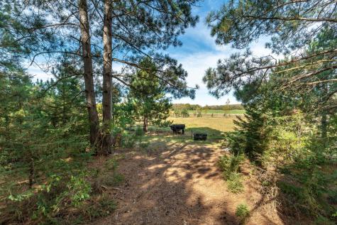 22939 510th Avenue Henning MN 56551