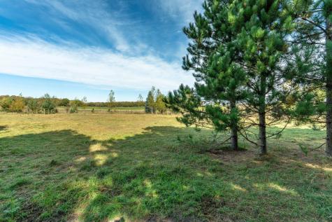 22939 510th Avenue Henning MN 56551