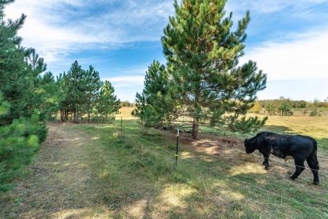 22939 510th Avenue Henning MN 56551