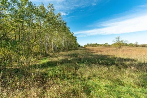 22939 510th Avenue Henning MN 56551