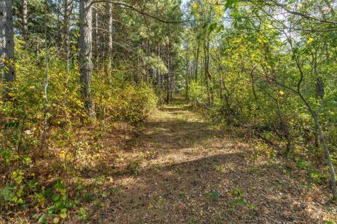 22939 510th Avenue Henning MN 56551