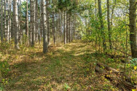 22939 510th Avenue Henning MN 56551