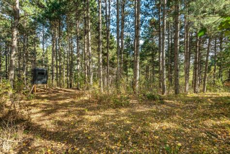 22939 510th Avenue Henning MN 56551