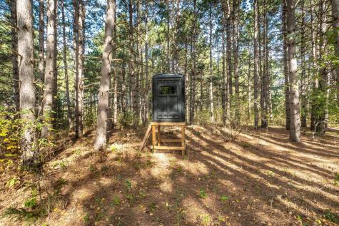 22939 510th Avenue Henning MN 56551