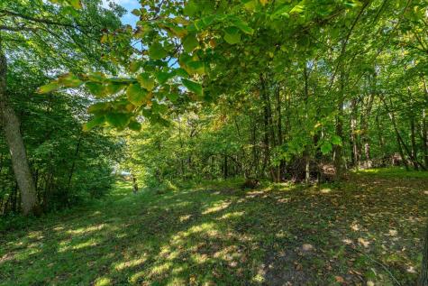 18101 Minni Acres Road Clitherall MN 56524