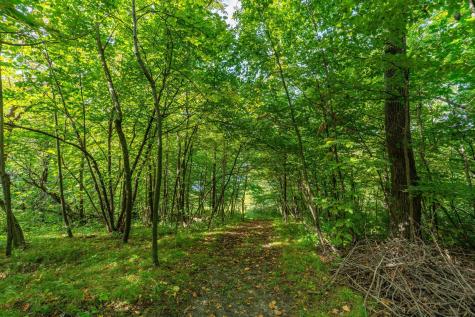 18101 Minni Acres Road Clitherall MN 56524