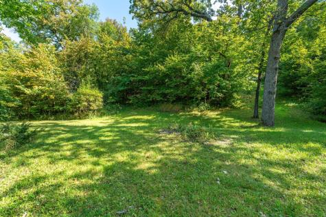 18101 Minni Acres Road Clitherall MN 56524